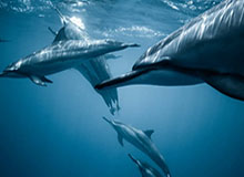 开运体育手机APP下载-NG体育:用科技点亮运动的每一天