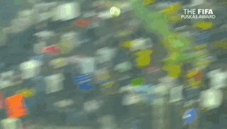 Nov-29-2024 10-10-38.gif